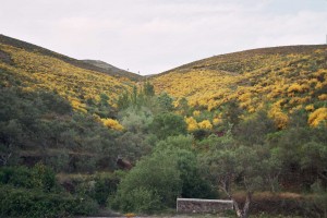 paradisiaco rincon de Sierra de  Gata  donde la Naturaleza brilla por su esplendor  