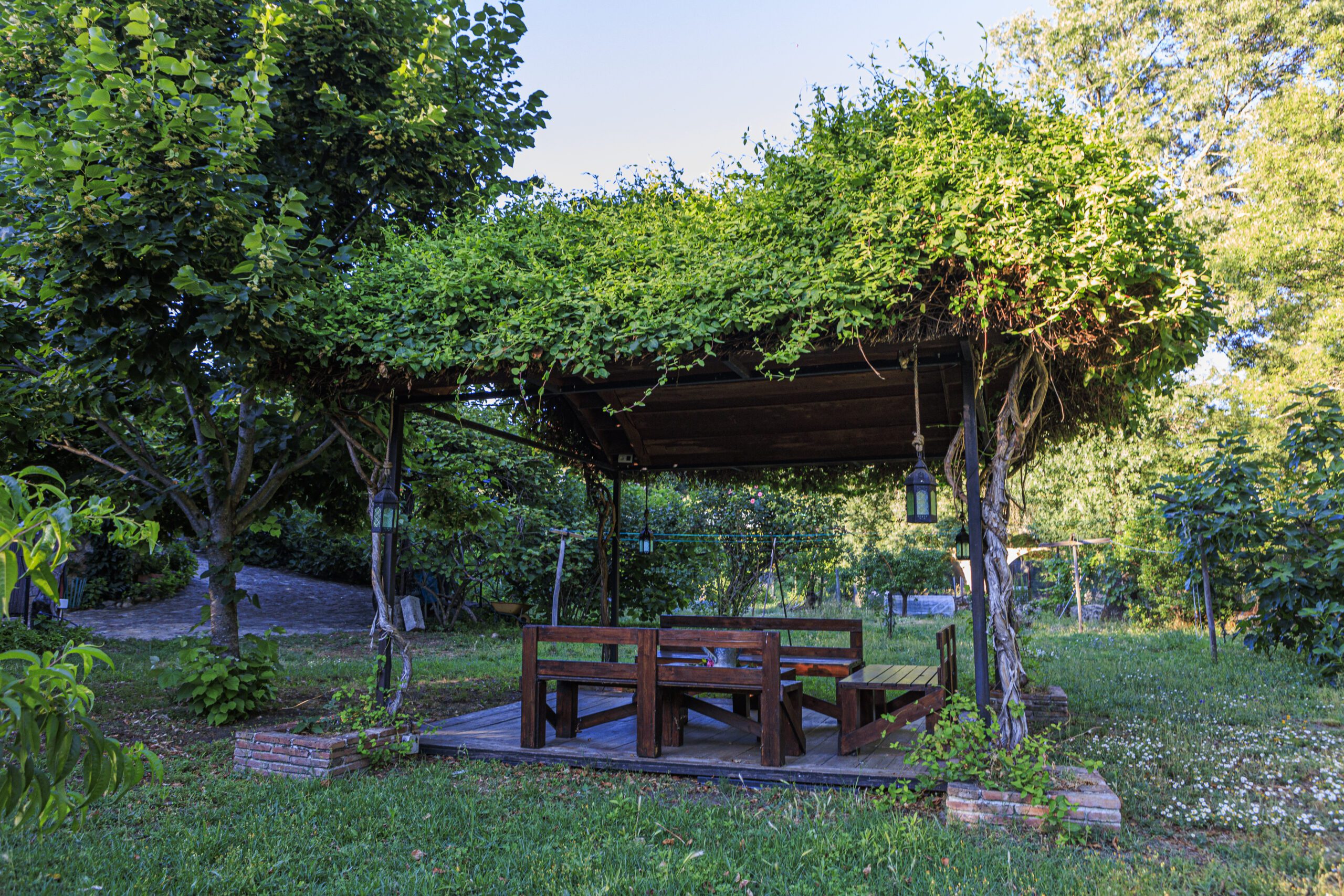 74LOSMONTEJOS _MG_6183